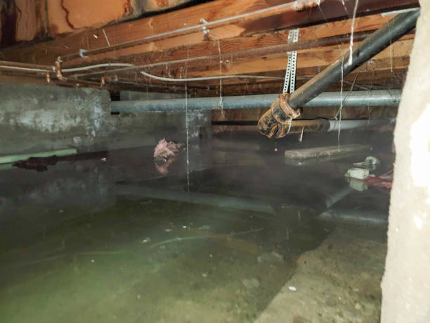 Best 24/7 water damage repair  in Channelview, TX