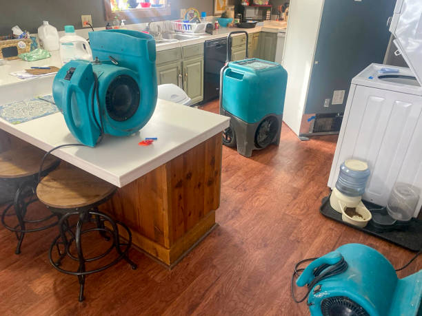  Channelview, TX Water damage restoration Pros