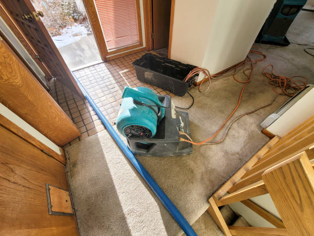 Best Professional water damage repair  in Channelview, TX