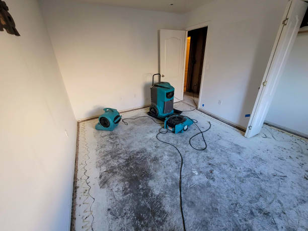 Best Flood damage cleanup  in Channelview, TX