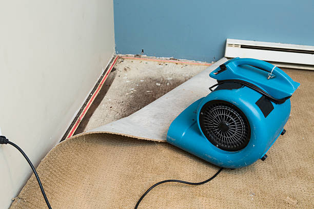 Best Basement water damage restoration  in Channelview, TX